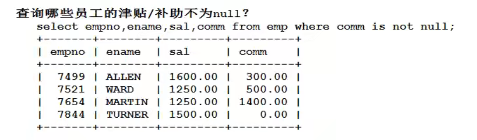 image-20220911142031703